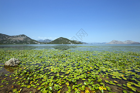 湖边池塘城市岩石森林爬坡反射天空土地孤独植物图片