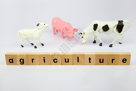配有文字农业的可塑性牛图片