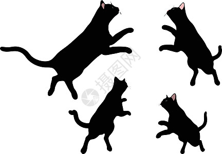 矢量图像  跳动姿势中的猫头巾老虎宠物山猫插图冒充猎豹阴影哺乳动物草图白色图片