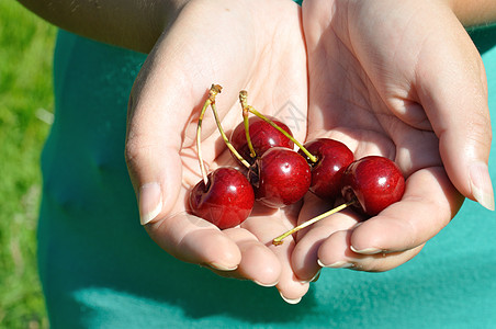 手握樱桃一部分成人食物身体水果幸福红色背景图片