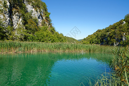 克罗地亚普利切维茨夏季明夏日的池塘银行风景图片