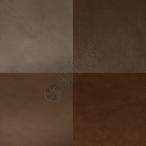 一套棕色皮革样品材料动物革质工作室纺织品墙纸奶牛宏观隐藏皮肤背景图片