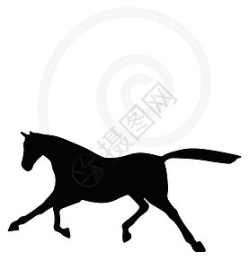 以快流姿势的马脚背影慢跑骑士步子阴影货车冒充跑步主力走路白色图片
