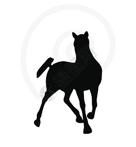 长得像好姿势的马背冒充主力插图黑色白色阴影马拉骏马草图骑士图片
