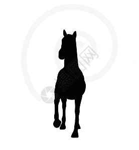 白色上隔离的马脚圆背骑士主力草图插图阴影姿势骏马冒充货车图片