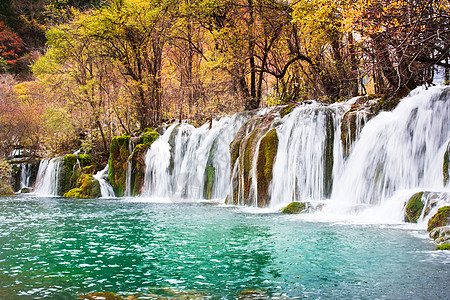 吉扎伊古大风景旅行森林绿色环境游客公园遗产世界自然假期图片