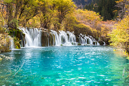 吉扎伊古大风景旅游公园旅行森林游客遗产自然绿色世界箭竹图片