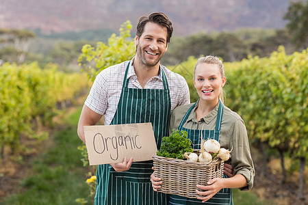 两名快乐的农民拿着一个标志和一篮子蔬菜夫妻收成季节性工人男性男人闲暇农村生活围裙图片