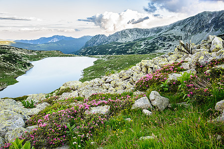 欧洲罗马尼亚雷特扎特的布库拉山湖旅游地平线首脑植物池塘公园高山顶峰岩石环境图片