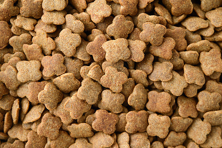 宠食食物狗粮棕褐色健康饮食宠物食品猫粮小吃动物图片