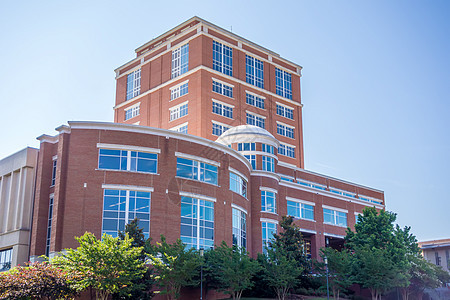 大学校园的现代和历史建筑植物大学城石工建筑物办公室海拔历史性教育楼梯竞技场图片