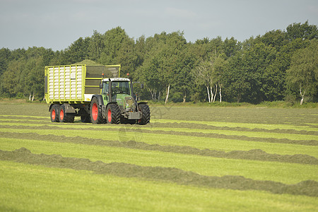 使用绿色拖拉机运输切割草工作排放承包商环境劳动畜牧业草地库存奶制品农民图片