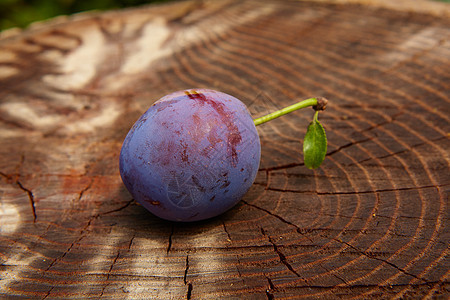 木制桌上的鲜李子修剪花园紫色甜点宏观饮食叶子生物季节收成图片