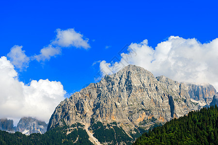 意大利特伦蒂诺松树运动山脉首脑森林全景风景高山天空远足图片