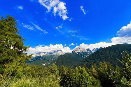 意大利特伦蒂诺松树岩石远足国家山脉树木高山天空顶峰公园图片