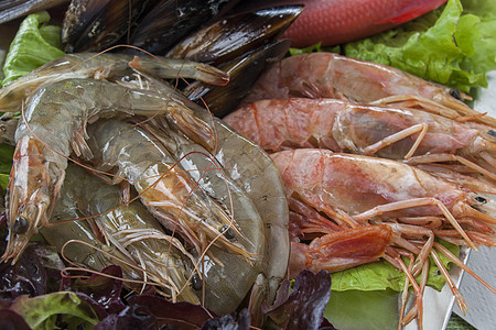 盘子上的新虾海洋美食烹饪营养海鲜市场餐厅钓鱼生蚝食物图片