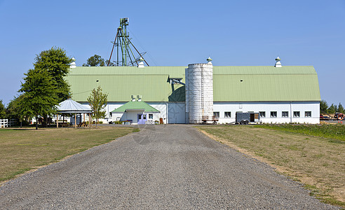 苏维岛俄勒冈州的大型谷仓图片