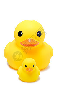 孤立白底黄色橡皮鸭玩偶橙子高音浴室白色动物小鸭子淋浴喇叭玩具塑料图片
