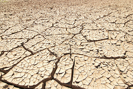 干燥地灾难地面地球荒地热带破坏性天气沙漠环境植物图片
