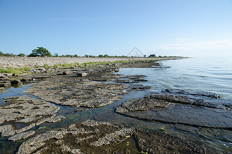 平岩石灰石海岸背景图片