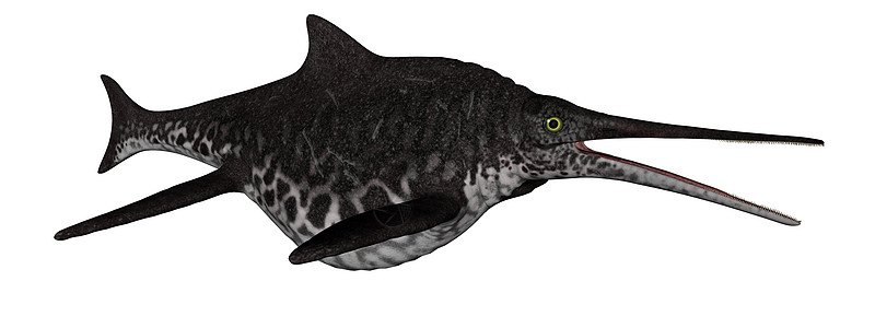 水龙恐龙恐龙鱼  三维转化灭绝生活渲染爬虫蜥蜴野生动物鱼龙海洋动物白色图片