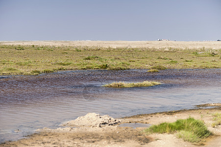 德国圣彼得奥林海滩上的圣彼得欧丁枯水沼泽地沙滩旅行高脚泥滩海滩渠道旅游潮汐图片