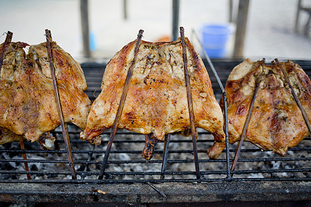 泰食鱼网格瑞迪龙上的灰鸡食物饮食风格烧烤胡椒图片