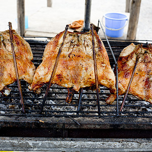 泰食鱼网格瑞迪龙上的灰鸡饮食烧烤风格食物胡椒图片