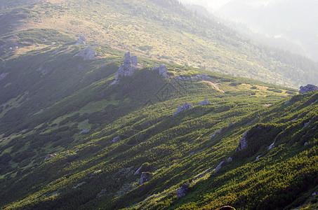 山边喀尔巴阡山 乌克兰薄雾首脑天堂环境场景季节日落森林阳光爬坡图片
