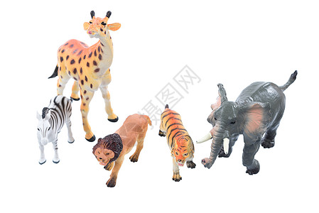 玩具动物数字工作室白色狮子老虎图片