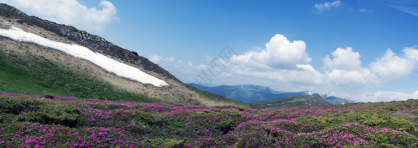 山高地风景的夜晚天空野生动物顶峰旅行阴霾国家阳光薄雾环境日落图片