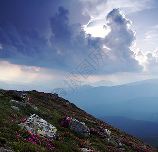 山高地风景的夜晚太阳阳光顶峰阴霾季节全景天文植物薄雾日落图片