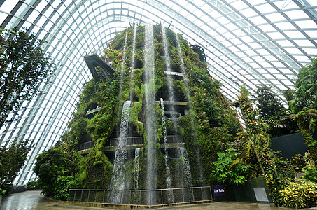 新加坡湾湾边的花园云林天空植物场景地标旅游公园吸引力圆顶建筑森林图片