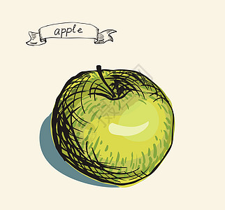 新的有益生态友好型苹果叶子橙子健康饮食收藏团体墨水农业插图食物艺术图片