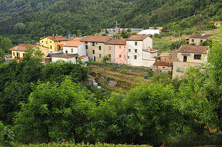 意大利橙色园景全景生长植物农场风光土地田园农业图片