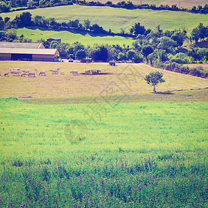农场季节爬坡农村土地干草栽培正方形场地动物村庄图片