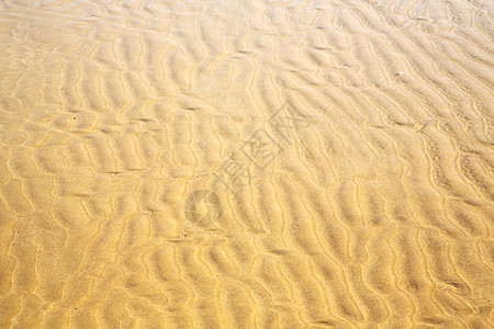 非洲棕色沙丘和海洋附近的海滩图片