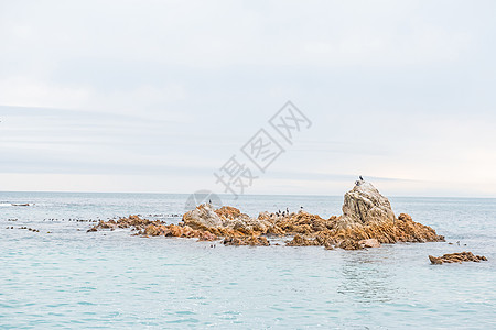 多伦拜港一个岛上的火山群和海鸥图片