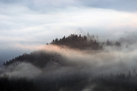 有浓雾的惊人山地景观 喀尔巴阡山脉天气旅行风景爬坡薄雾季节全景公园场景环境图片