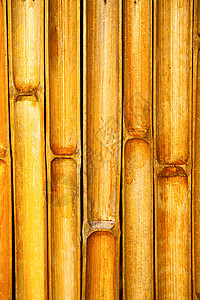 泰河抽象的竹子 在寺庙Kho phangan图片