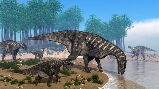 Iguanodon 恐龙群聚集在海岸线 -3D图片
