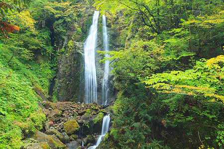 回顾瀑布 日本溪流旅行旅游峡谷叶子岩石蓝色森林公园图片