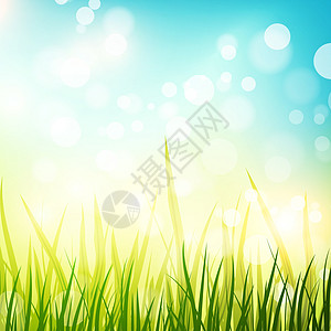 春季春天花园草地太阳植物情绪插图绿色晴天季节红花图片