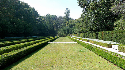 塞尔拉夫斯花园 葡萄牙波尔图旅行环境风景反射花园地标博物馆历史旅游树木图片