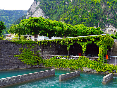 瑞士图恩湖因特拉肯港草地观光旅行森林天蓝色假期地标蓝色码头场景图片