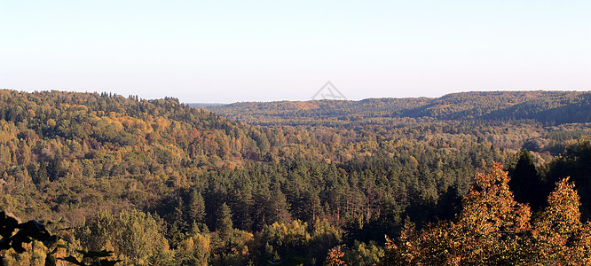 秋初的森林 高贾国家公园背景图片