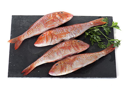 红鲻鱼鲷鱼胭脂工作室食物海鲜鲇鱼红鱼图片