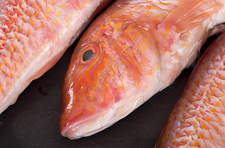 红鲻鱼红鱼胭脂工作室鲷鱼鲇鱼食物海鲜图片