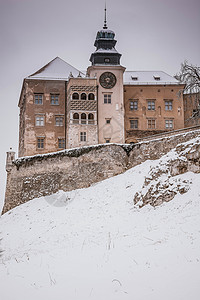 皮埃斯科瓦斯卡拉城堡(波兰)图片