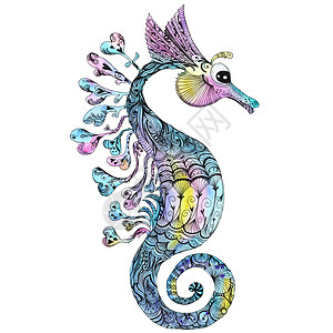 创意水彩海马世界收藏海洋生活动物园绘画艺术水彩画野生动物动物图片